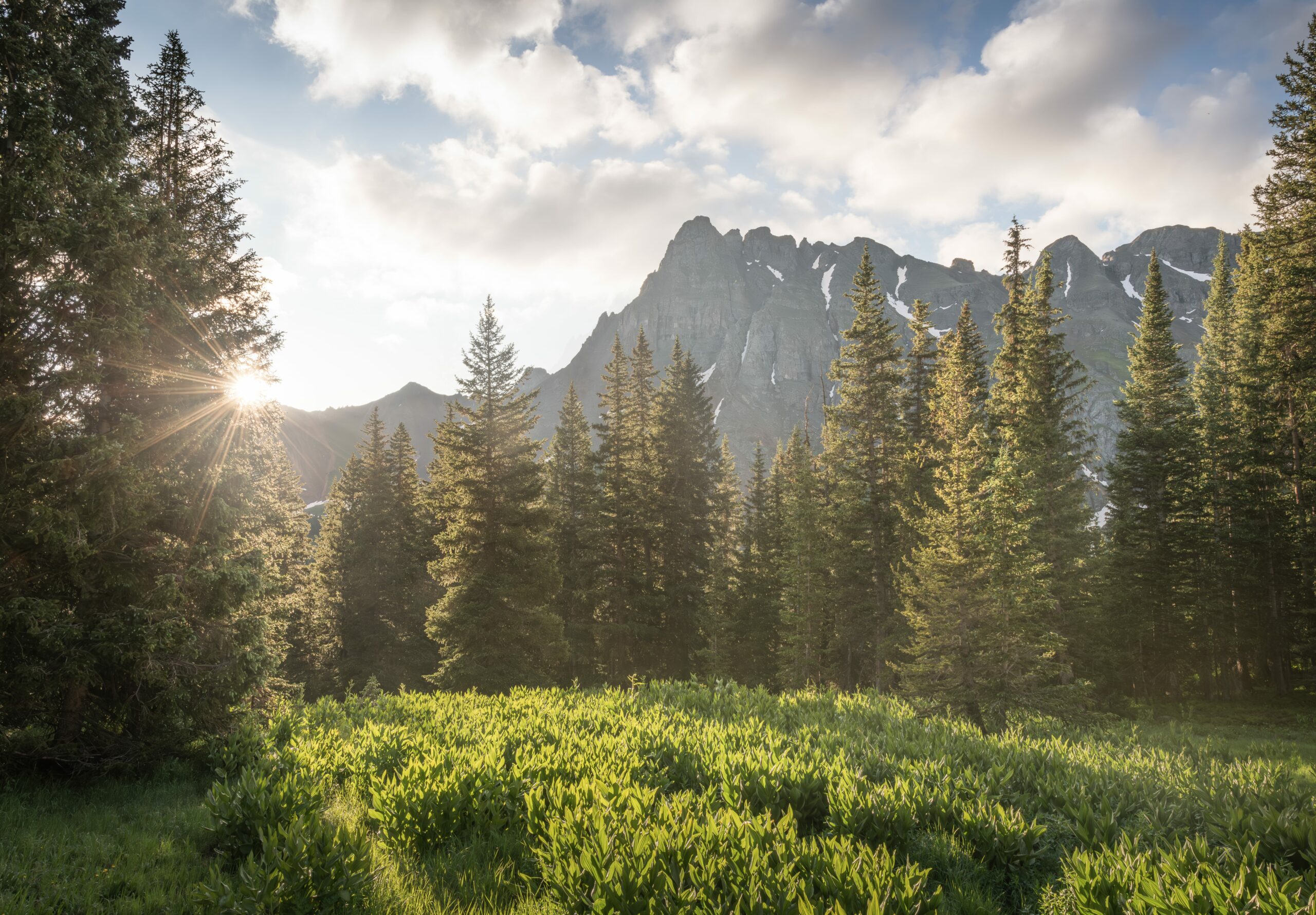 Legal intervention launched to defend federal public lands conservation rule from ND, MT, ID lawsuit